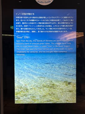 沖縄美ら海水族館に投稿された画像（2024/8/2）