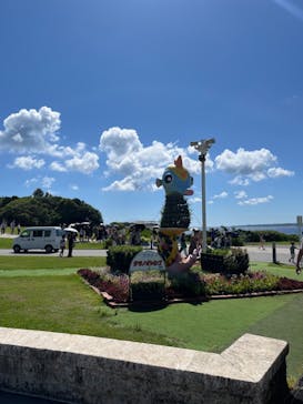 沖縄美ら海水族館に投稿された画像（2024/8/2）