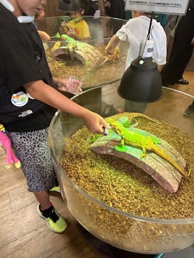 NARA IKIMONO MUSEUMに投稿された画像（2024/8/2）