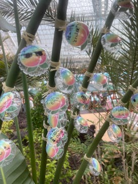 東京サマーランドに投稿された画像（2024/8/2）