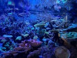 名古屋港水族館に投稿された画像（2024/8/2）