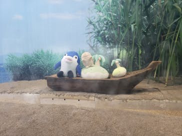 しながわ水族館に投稿された画像（2024/8/2）