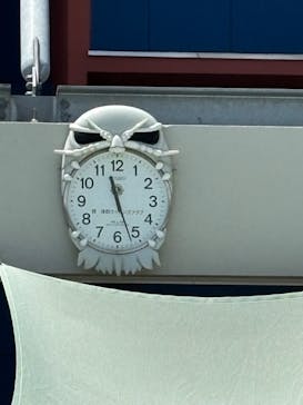 竹島水族館に投稿された画像（2024/8/2）