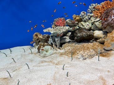 城崎マリンワールドに投稿された画像（2024/8/2）