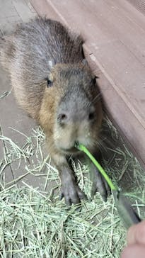カワスイ 川崎⽔族館に投稿された画像（2024/8/2）
