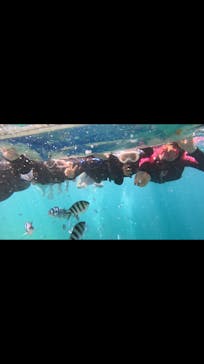 MalDive（モルダイブ）に投稿された画像（2024/8/2）