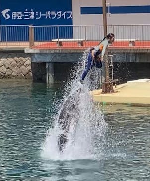 伊豆・三津シーパラダイスに投稿された画像（2024/8/2）