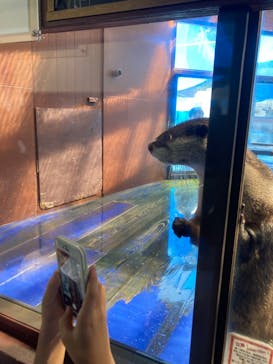 ゼロ距離水族館 伊勢シーパラダイスに投稿された画像（2024/8/2）