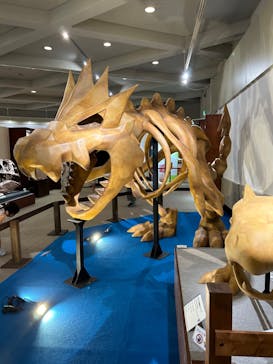 岐阜県博物館に投稿された画像（2024/8/2）