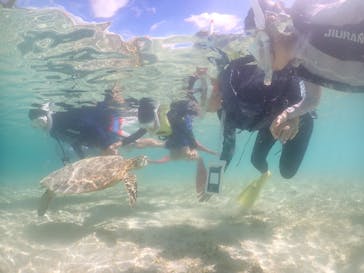 元気玉に投稿された画像（2024/8/2）