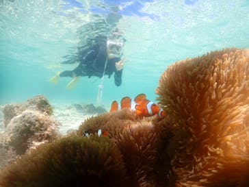 元気玉に投稿された画像（2024/8/2）