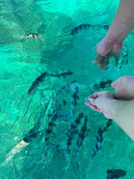 青の洞窟専門店　沖縄ダイビングショップ和に投稿された画像（2024/8/2）