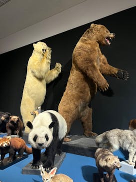 大哺乳類展に投稿された画像（2024/8/2）