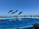 四国水族館に投稿された画像（2024/8/3）