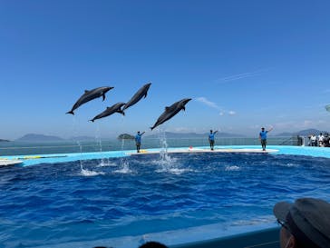 四国水族館に投稿された画像（2024/8/2）