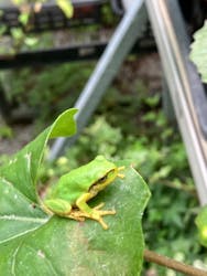 蓼科高原 バラクラ イングリッシュ ガーデンに投稿された画像（2024/8/3）