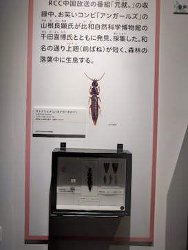 特別展「昆虫 MANIAC」（国立科学博物館）に投稿された画像（2024/8/3）