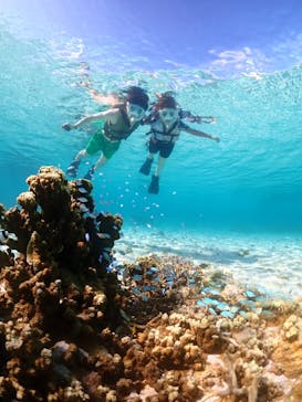 宮古島マリンショップSmileyに投稿された画像（2024/8/3）