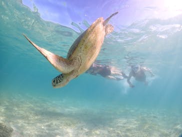 宮古島マリンショップSmileyに投稿された画像（2024/8/3）