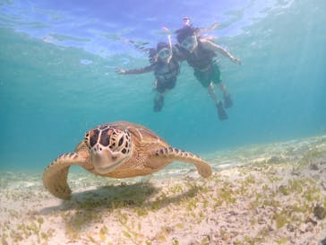 宮古島マリンショップSmileyに投稿された画像（2024/8/3）