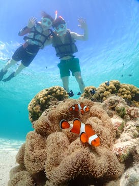 宮古島マリンショップSmileyに投稿された画像（2024/8/3）