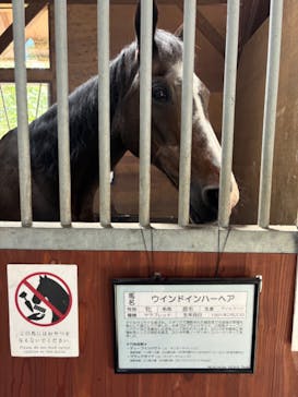 ノーザンホースパークに投稿された画像（2024/8/3）