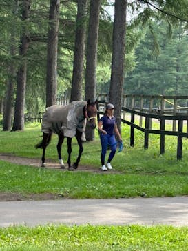 ノーザンホースパークに投稿された画像（2024/8/3）