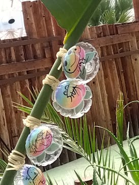 東京サマーランドに投稿された画像（2024/8/3）