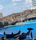 名古屋港水族館に投稿された画像（2024/8/3）