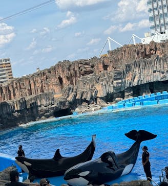 名古屋港水族館に投稿された画像（2024/8/3）