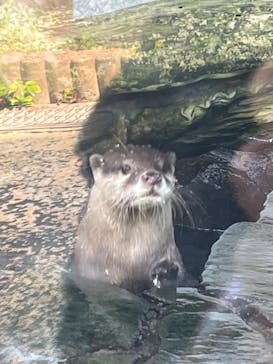 下田海中水族館に投稿された画像（2024/8/3）