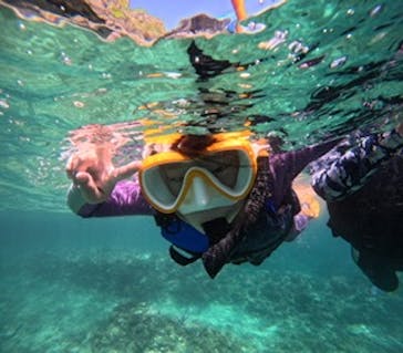 沖縄マリンサービス碧に投稿された画像（2024/8/3）