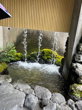 天然温泉 ロテン・ガーデンに投稿された画像（2024/8/3）