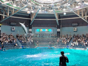 マクセル アクアパーク品川に投稿された画像（2024/8/3）