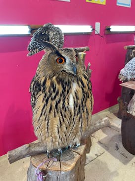 アニタッチPARKイオンモール太田に投稿された画像（2024/8/3）