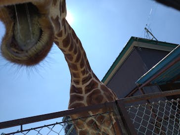 東北サファリパークに投稿された画像（2024/8/3）