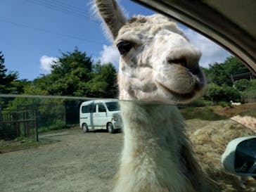 東北サファリパークに投稿された画像（2024/8/3）