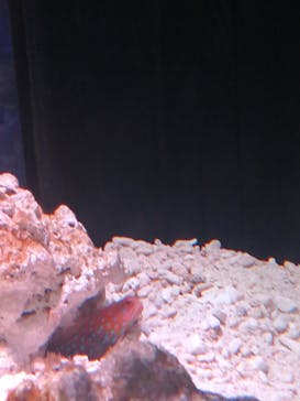 マクセル アクアパーク品川に投稿された画像（2024/8/3）