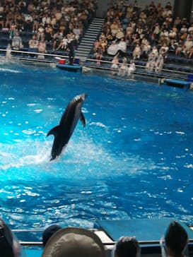 マクセル アクアパーク品川に投稿された画像（2024/8/3）