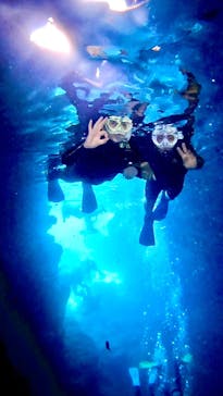 DIVING-SHOP SUNSに投稿された画像（2024/8/3）