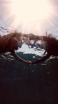 DIVING-SHOP SUNSに投稿された画像（2024/8/3）