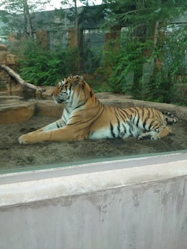 那須どうぶつ王国に投稿された画像（2024/8/3）