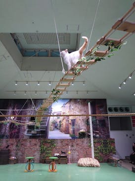 那須どうぶつ王国に投稿された画像（2024/8/3）