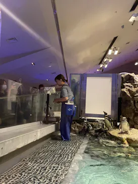 すみだ水族館に投稿された画像（2024/8/3）