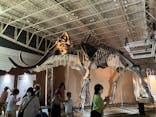 巨大恐竜展2024に投稿された画像（2024/8/3）