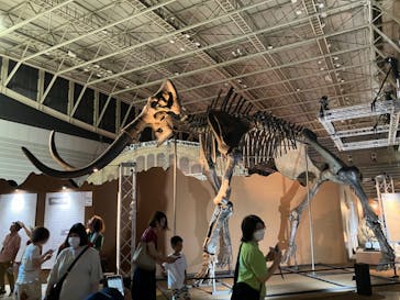 巨大恐竜展2024に投稿された画像（2024/8/3）
