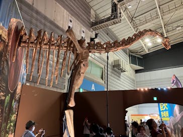 巨大恐竜展2024に投稿された画像（2024/8/3）