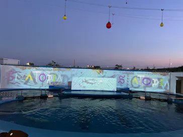 仙台うみの杜水族館に投稿された画像（2024/8/3）