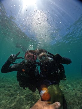 武藤潜水に投稿された画像（2024/8/3）