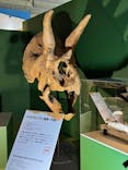 巨大恐竜展2024に投稿された画像（2024/8/3）